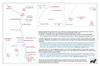 sta49 to lizard island_thumb.gif